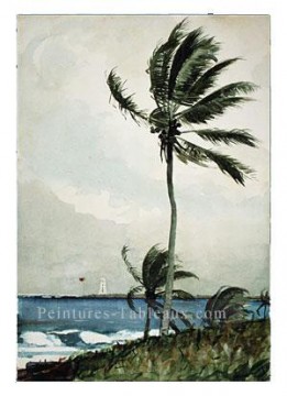  pittore peintre - Palmier réalisme marine peintre Winslow Homer